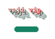 vaji vip logo